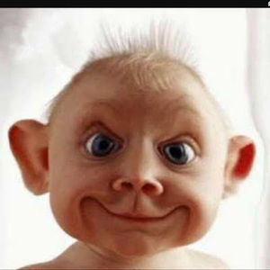 Meet your Posher, Chicken little